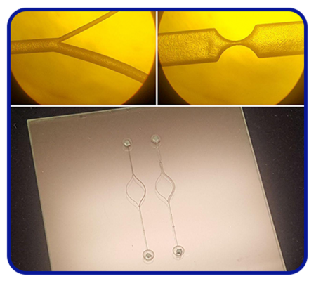 میکروفلوئیدیک 3 میکروفلوئیدیک