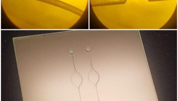 میکروفلوئیدیک